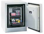 Datensafe S-100